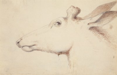 geyik. c.1837 (çizim) by Alfred Jacob Miller