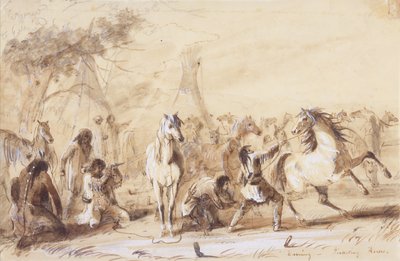 Akşam, Picketing Horses, c.1837 (kağıt üzerine kurşun kalem, yıkama ve guaj boya) by Alfred Jacob Miller