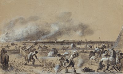 Prairie
