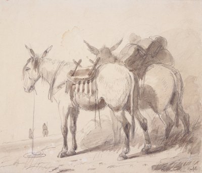 Katır Ekipmanı, c.1837 (kalem ve kağıt üzerinde yıkama) by Alfred Jacob Miller