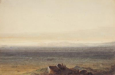 Prairie, c.1837 (kağıt üzerine kurşun kalem, sulu boya ve guaj boya) by Alfred Jacob Miller