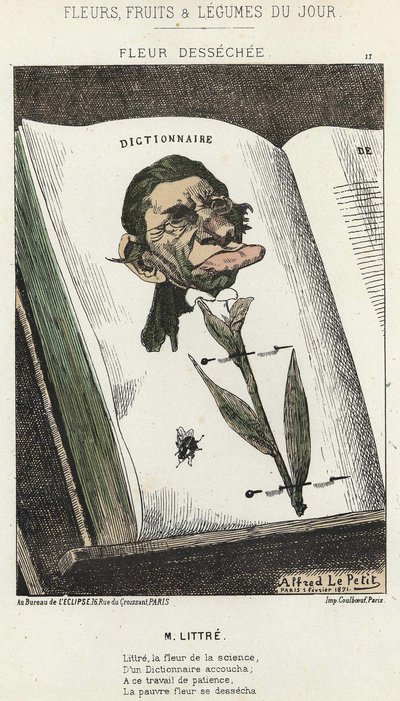 Déséchée çiçeği: Littré ile ilgili karikatür - hasta. 01/02/1871 tarihinden itibaren “Günün Çiçekleri, Meyveleri ve Sebzeleri” by Alfred Le Petit