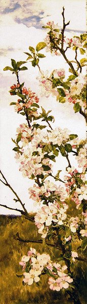Elma çiçeği, c.1880-86 (panelde yağ) by Alfred Parsons