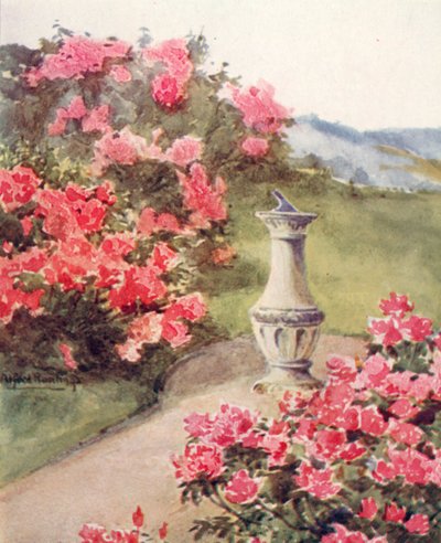  by Alfred Rawlings