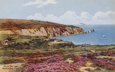 Alum Bay, from Headon Hill, IOW  by Alfred Robert Quinton