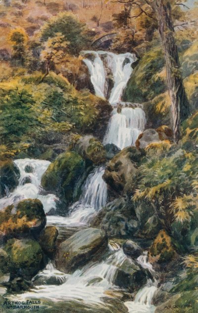 Arthog Falls, Nr. Barmouth  by Alfred Robert Quinton