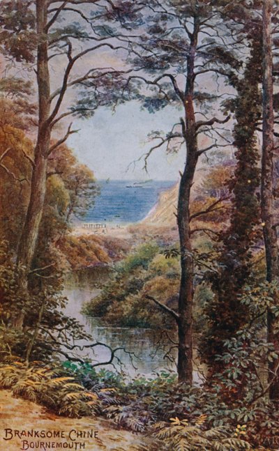 Branksome Çin, Bournemouth by Alfred Robert Quinton