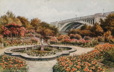Köprü ve Lily Pond, Peashol M, Scarborough by Alfred Robert Quinton