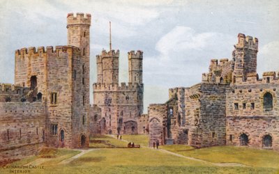 Carnarvon Castle, Interior  by Alfred Robert Quinton