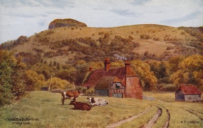 Chanctonbury Yüzük, Worthing by Alfred Robert Quinton