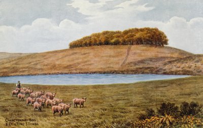 Chanctonbury Ring, and Dew Pond, S Downs  by Alfred Robert Quinton