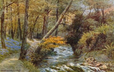 Groudle Glen, I of Man  by Alfred Robert Quinton