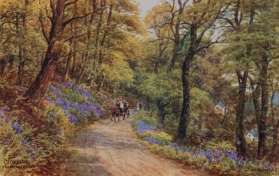 Hobby Drive, Clovelly (renkli taş) by Alfred Robert Quinton