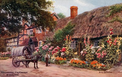 Hollyhocks, Cropthorne, Evesham  by Alfred Robert Quinton