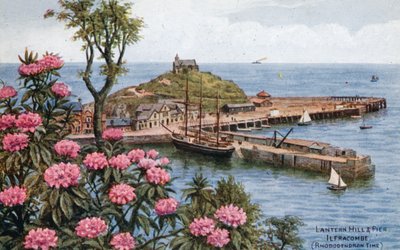 Lantern Tepesi ve İskelesi, Ilfracombe, (Rhododendron Zamanı) by Alfred Robert Quinton