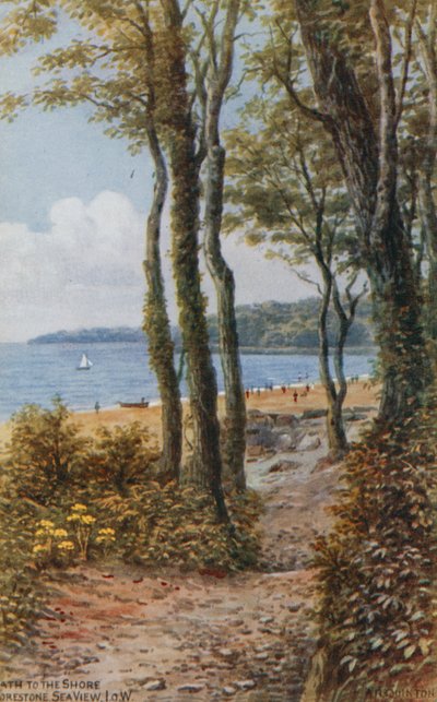 Sahil Yolu, Deniz Manzarası, Wight Adası by Alfred Robert Quinton