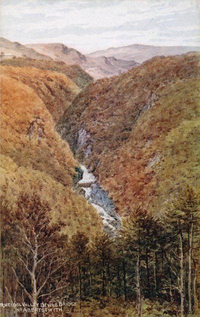 Rheidol Vadisi, Şeytan Köprüsü, Nr. Aberystwyth by Alfred Robert Quinton