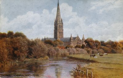 Salisbury Katedrali by Alfred Robert Quinton