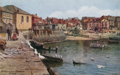 Limanda Martılar, St Ives, Cornwall by Alfred Robert Quinton