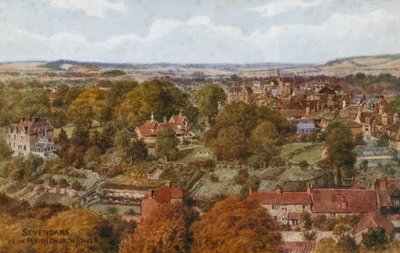 Sevenoaks from Parish Church Tower  by Alfred Robert Quinton