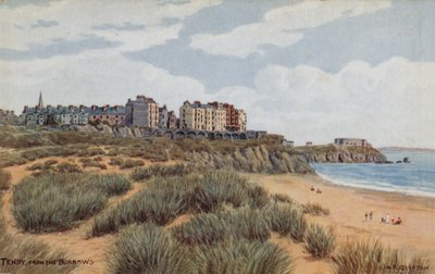 Tenby, From The Burrows  by Alfred Robert Quinton