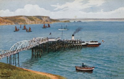 Tenby, İskele ve Körfez by Alfred Robert Quinton