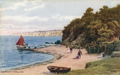 Plaj, Studland by Alfred Robert Quinton