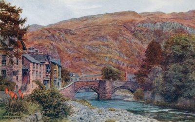 Köprü, Beddgelert by Alfred Robert Quinton
