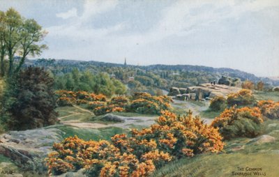 The Common, Tunbridge Wells  by Alfred Robert Quinton