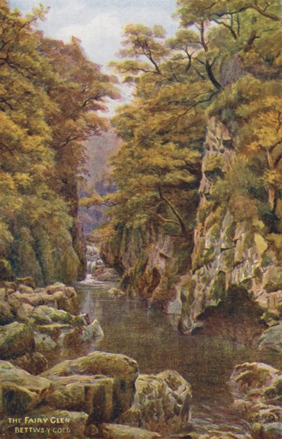 The Fairy Glen, Bettws-Y-Coed (renkli taş baskı) by Alfred Robert Quinton