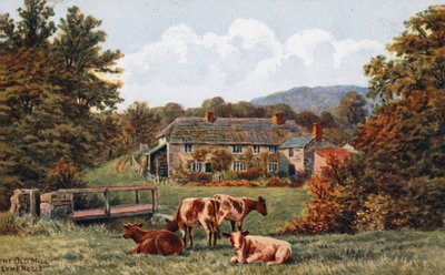 Eski Değirmen, Lyme Regis by Alfred Robert Quinton