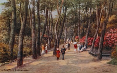 The Pine Walk, Bournemouth  by Alfred Robert Quinton
