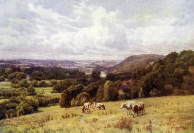 Hennerton, Henley