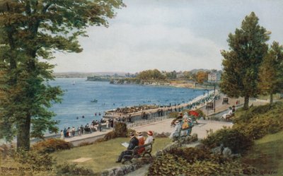 Torbay Yolu, Torquay by Alfred Robert Quinton