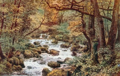 Torrent Yürüyüşü, Dolgelley by Alfred Robert Quinton