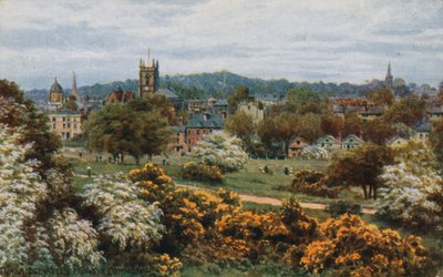 The Common