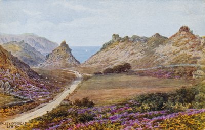 Valley of Rocks, Lynton  by Alfred Robert Quinton