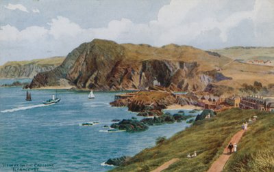 View from the Capstone, Ilfracombe  by Alfred Robert Quinton