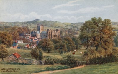 Milton Hill
