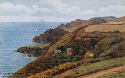 Woody Bay, from Martinhoe Common  by Alfred Robert Quinton