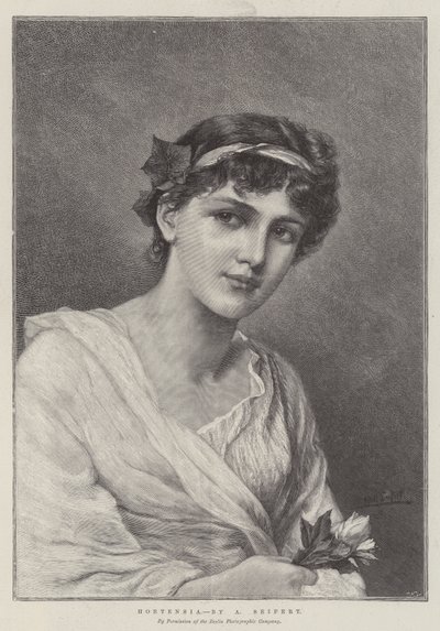 ortanca by Alfred Seifert
