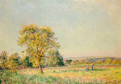 Bir Yaz Günü, 1886 by Alfred Sisley