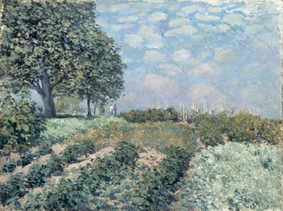 Pazar Bahçeleri by Alfred Sisley