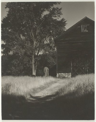  by Alfred Stieglitz
