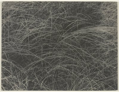 Eşdeğer by Alfred Stieglitz