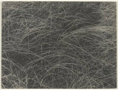 Eşdeğer, 1927. by Alfred Stieglitz