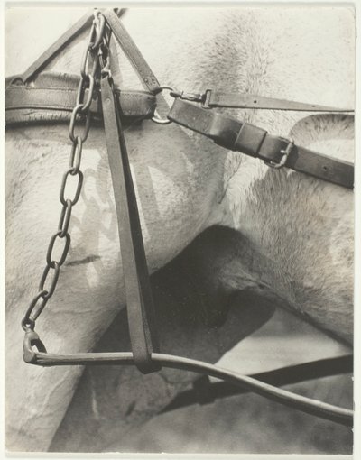Eşdeğer, Spiritüel Amerika by Alfred Stieglitz