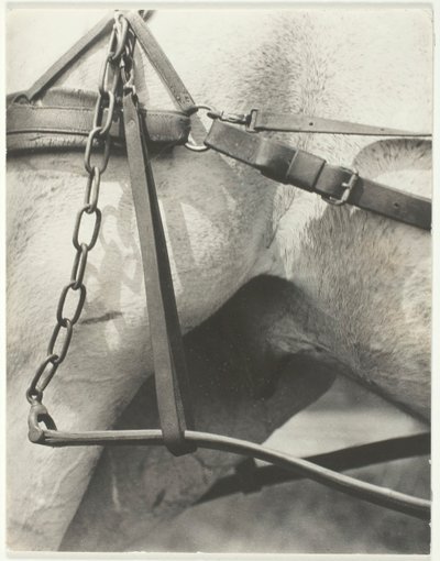 Eşdeğer, Spiritüel Amerika, 1923. by Alfred Stieglitz