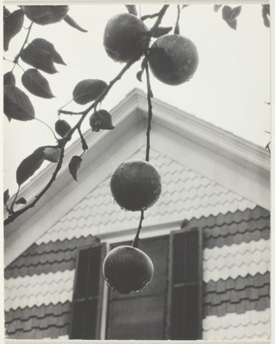 Gable ve Elmalar by Alfred Stieglitz