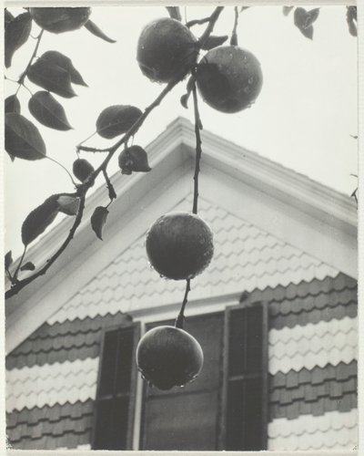 Gable ve Elmalar, 1922. by Alfred Stieglitz